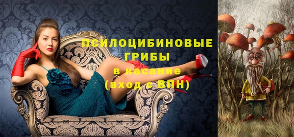 соль курить ск Белокуриха