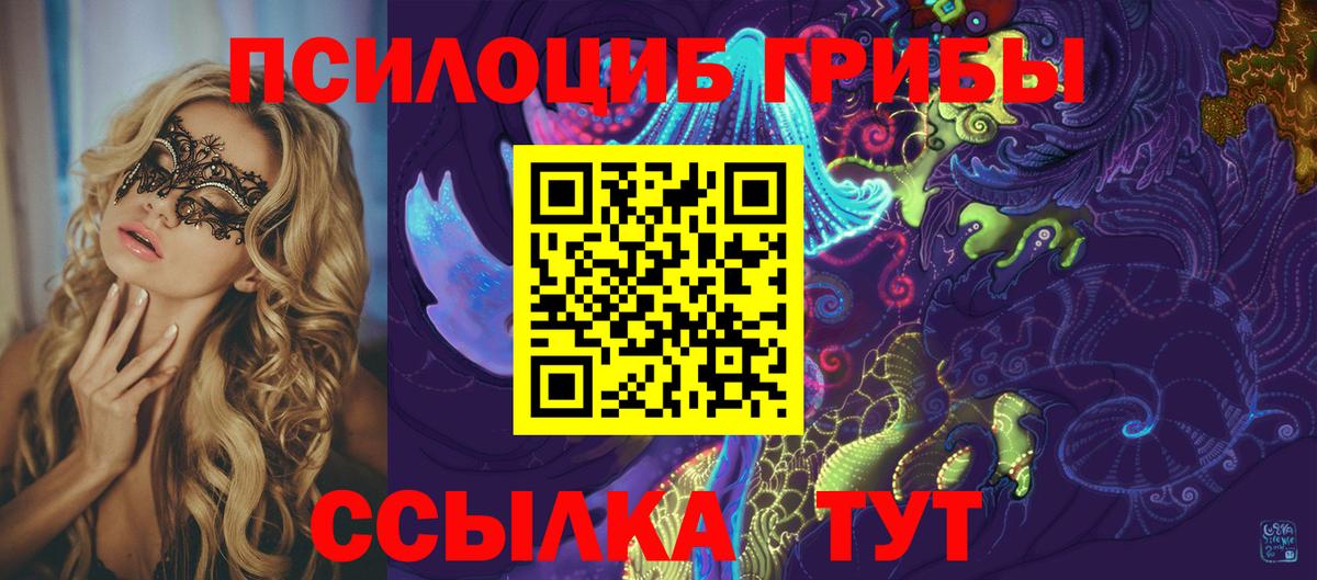 Псилоцибиновые грибы Psilocybine cubensis Горячий Ключ